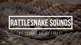 Rattlesnake Sound Effects 🐍 Rattlesnake Sounds 🐍 Snake Tail Rattling [upl. by Nolyaj]