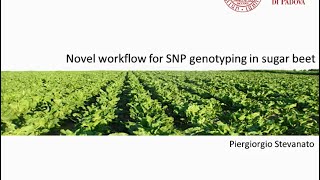 Agrigenomics  Novel workflow for SNP genotyping in sugar beet [upl. by Yeargain]