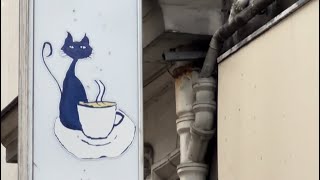 Unique Restaurant Paris le cafe’ des chats Cat’s Cafe [upl. by Etnahsal]