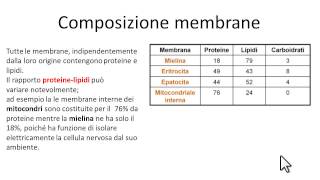 Composizione chimica membrane [upl. by Llehcam]