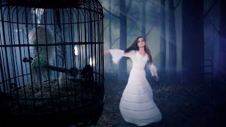 Stevie Nicks  Secret Love Official Music Video [upl. by Stent]