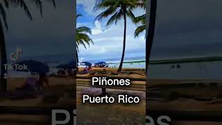 Piñones puerto rico you cant come to PR without stop in Piñonescom3wus followusoninstagram [upl. by Thurlough]