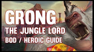 Grong Normal  Heroic Guide  FATBOSS [upl. by Alekehs896]