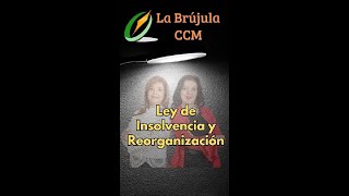 Ley de Insolvencia y Reorganización [upl. by Tamis]