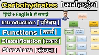 Carbohydrates in hindi  Classification of Carbohydrates  Monosaccharide  Disaccharide  Glucose [upl. by Nered428]