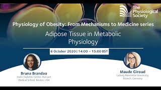 Webinar Adipose Tissue [upl. by Kosak]