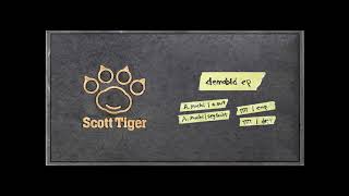 A Mochi  segfault Scott Tiger Records  Demobld ep  Full [upl. by Raven637]