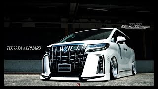 ACCtv New ALPHARD quotOntheGround×3Psystemquot [upl. by Gennie]