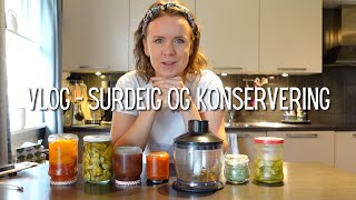 Vlog  Surdeig fermentering og konservering [upl. by Allicerp]