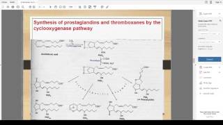 Biochemistry Hormones  05 Eicosanoids [upl. by Aylward]