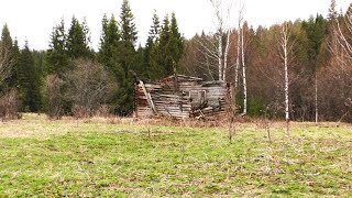 Ночуем в дождь и холод на урочище летняя палатка с печкой спасла ситуацию №235 [upl. by Silenay]