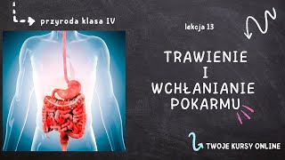 Przyroda klasa 4 Lekcja 13  Trawienie i wchłanianie pokarmu [upl. by Goerke427]