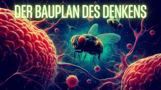 Der Bauplan des Denkens [upl. by Tamera]