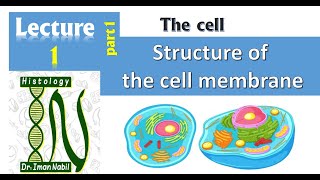 1aStructure of cell membranePart1 Lipids and Proteins [upl. by Rutra]