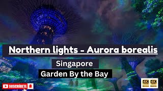 Garden By the Bay Northen Lights show 2024 Aurora Borealis [upl. by Etienne]