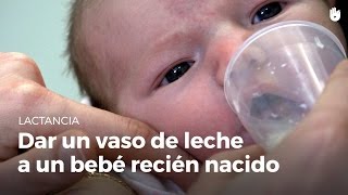 Dar un vaso de leche a un bebé recién nacido  Guía de lactancia materna [upl. by Enomes468]