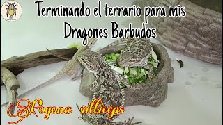 Terminando el terrario para mis Dragones Barbudos  PIMVS México exótico [upl. by Lukin]