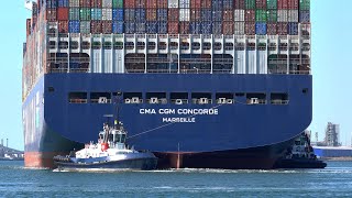 ULTRA LARGE CONTAINER SHIPS TRAFFIC AT ROTTERDAM PORT  4K SHIPSPOTTING AUGUST 2022 [upl. by Ahgiela]