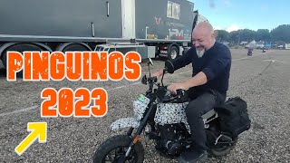 âœ…C60 Nos vamos a PINGÃœINOS 2023  Trailer Life  Rider life VUELTA AL MUNDO EN MOTO [upl. by Mis525]