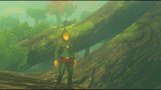 Zelda Breath of the Wild  Tingles Outfit Locations EX Treasure Fairy Clothes [upl. by Aernda]