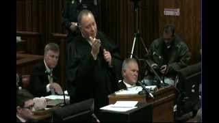 Oscar Pistorius Trial Wednesday 2 July 2014 Session 3 [upl. by Ranitta]