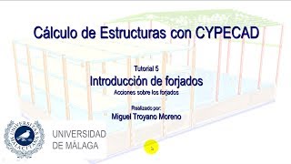 CYPECAD 05 Cálculo de Estructuras con CYPECAD Introducción de forjados Acciones sobre los forjado [upl. by Dickerson999]