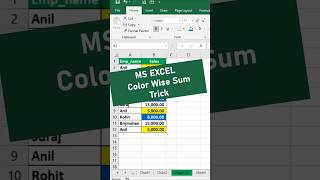 Do a ColorWise SUM in Excel Like a PRO 🎨✨ [upl. by Kathy993]