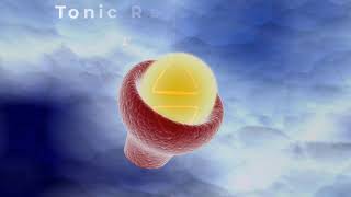 Tonic versus Phasic Sensory Receptors How They Work in Central Adaptation and Peripheral Adaptation [upl. by Seth]