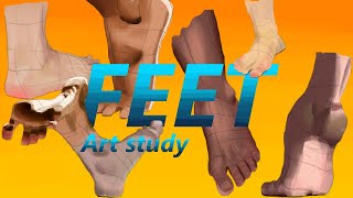 Foot anatomy for artists  Art study [upl. by Camile]