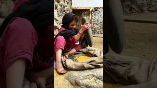 About Kangni millet A crop of Gilgit Baltistan millet harvesting grain separation then its uses [upl. by Goetz]