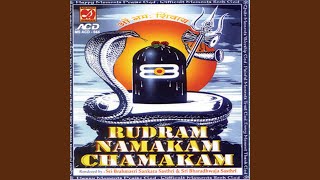 Rudram Namakam Chamakam [upl. by Arais]