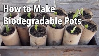 How to Make Biodegradable Plant Pots  Homemade Seed Starting Pots [upl. by Eadrahs159]