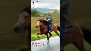 विदेशी घोड़े की सिंधी चाल 🏇 horseriding horselover sindhihorse animal horse horseshorts [upl. by Tullusus]