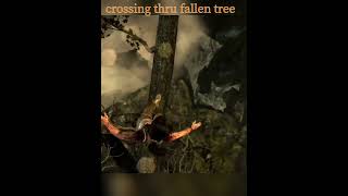 crossing the fallen tree  gaming Tombraider [upl. by Atteuqahc948]