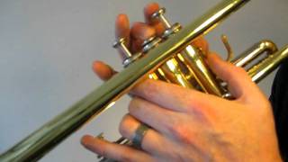 How to play the Trumpet F Sharp Major Scale Concert E [upl. by Florentia264]