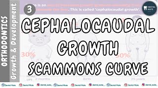 Cephalocaudal growth gradient  Scammons curve  Dr Paridhi Agrawal [upl. by Adnilre]