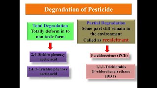 Principle of Biodegradation of PesticideXenobiotics [upl. by Tynan]