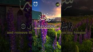 Surah Taha 25–35  Sharif Mustafa  سورة طه شريف مصطفى Sherif Mostafa  quran recitation for sleep [upl. by Ydnahs]