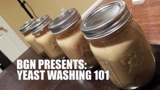 Yeast Harvesting and Washing 101  Beer Geek Nation Homebrew Videos [upl. by Retrak]