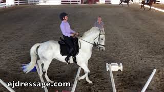 Cavaletti Training with bent and straight lines with Erika Jansson [upl. by Clary]