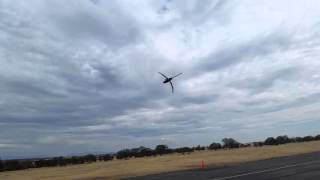 Velos 880 at Helifreak 2015 Fun Fly [upl. by Meill]