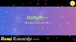 Grzegorz Turnau  Liryka karaoke  RemiKaraokecom [upl. by Sanbo]