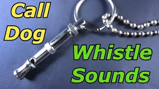 Dog Whistle Sound to Call Dog [upl. by Claudy]