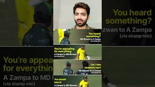 Funny moment in 2nd odi😂😂🔥pakvsaus mohammadrizwan australiacricket cricket trending shorts [upl. by Ahcsrop171]