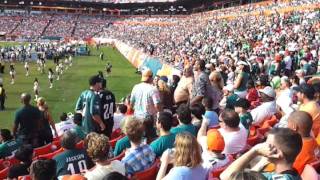 Dolphins and eagles fans fight pt 1 [upl. by Onailimixam287]