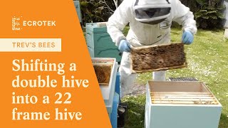 Trevs Bees  Shifting a double Brood Box Langstroth beehive into my 22 frame Long Hive [upl. by Einehpets]