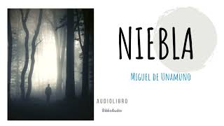 Niebla Miguel de Unamuno Audiolibro Completo [upl. by Fougere594]