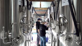 Process of Making Craft Beer Korean Countryside Brewery [upl. by Htide]