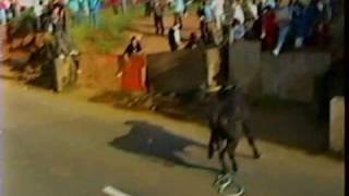 A typical Street Bullfight Terceira Azores 1993 [upl. by Nomyar551]