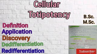 Cellular Totipotency Applications of Cellular Totipotency Tissue Culture Totipotency [upl. by Einimod]